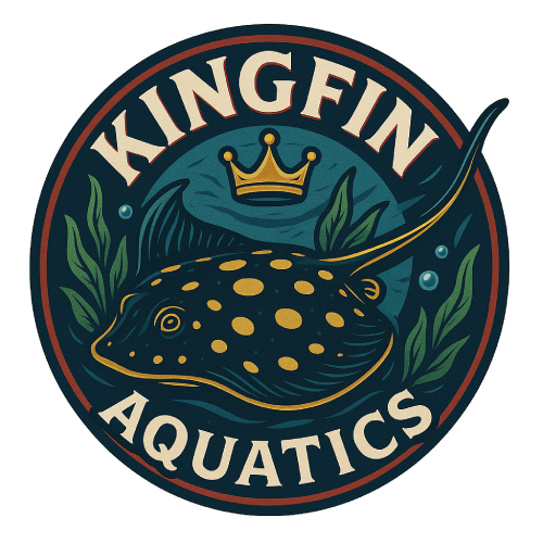 KingFin Aquatics